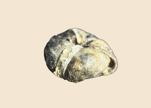 Donut de Cabillaud