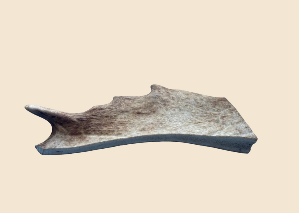 Bois de Daim
