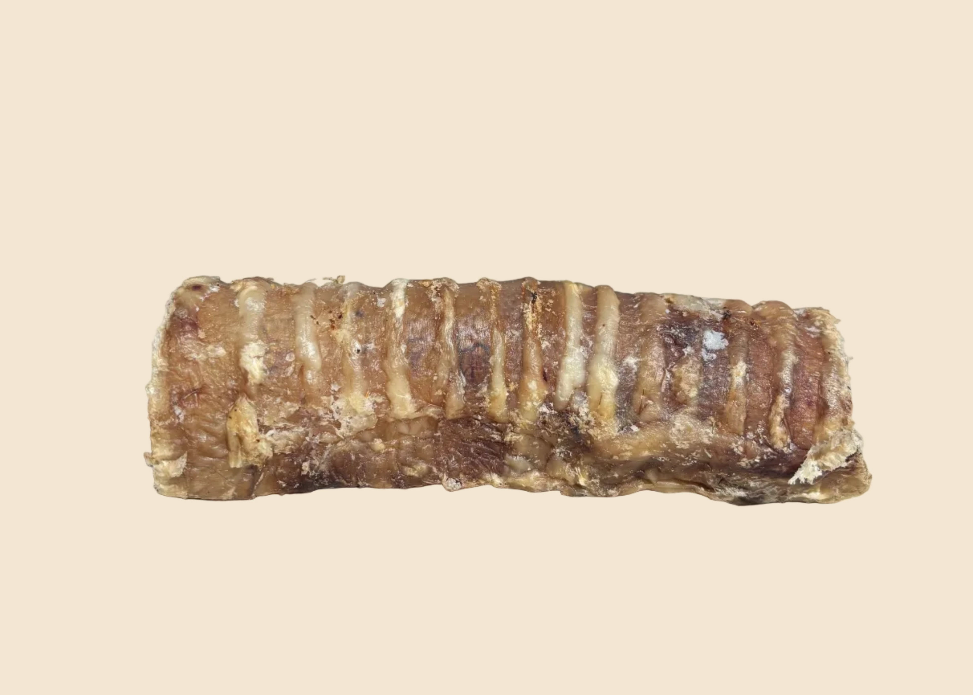 Trachée de boeuf - 15 cm