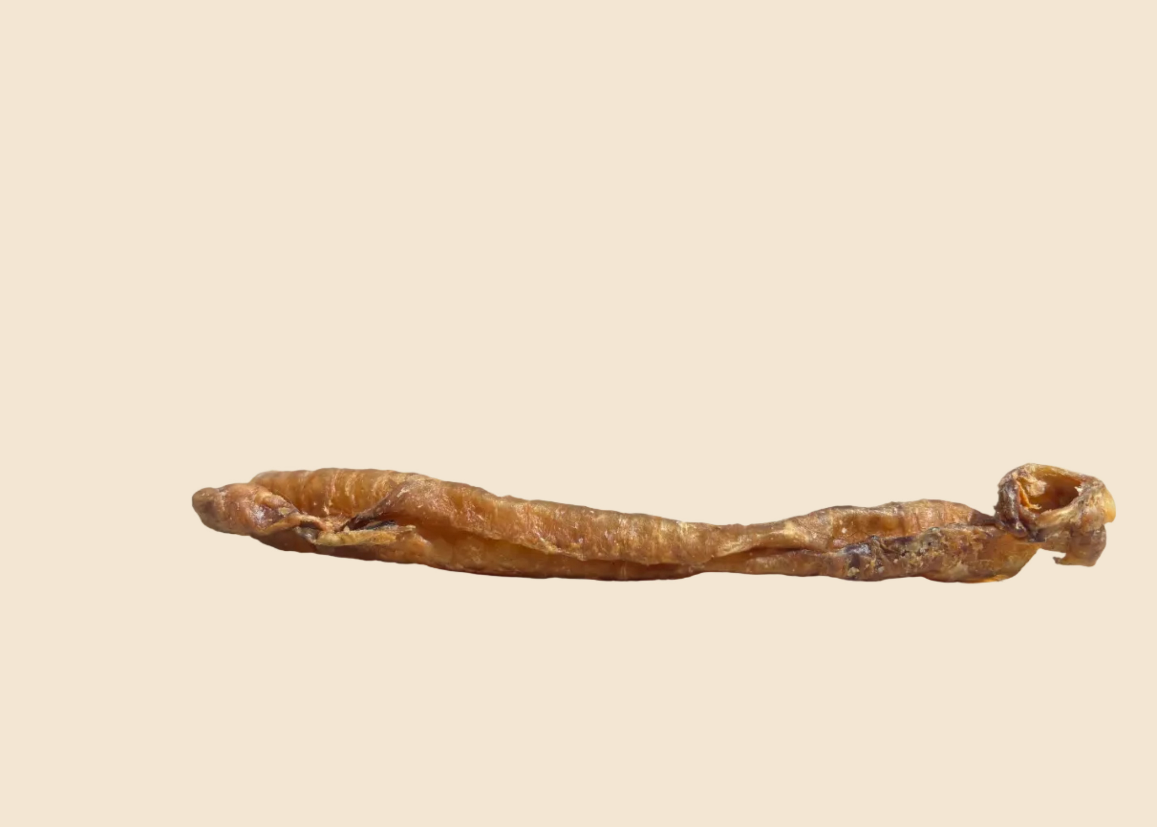 Trachée d'Agneau (par lot de 3)